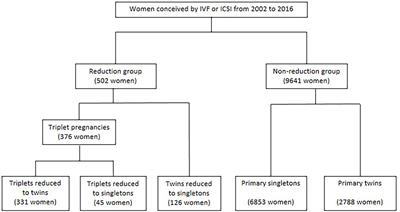 Fetal Reduction Could Improve but Not Completely Reverse the Pregnancy Outcomes of Multiple Pregnancies: Experience From a Single Center